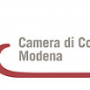 camera commercio