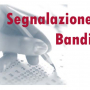 segnalazione bandi